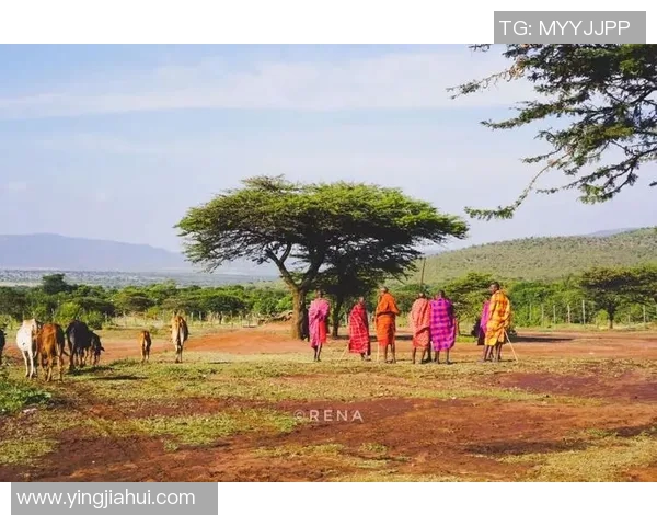 肯尼亚与坦桑尼亚的足球对决：历史战绩与未来展望