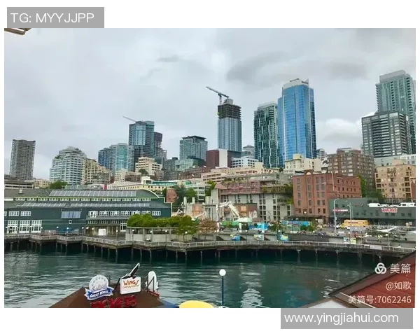 纽约城与西雅图海湾的文化碰撞与城市魅力之争