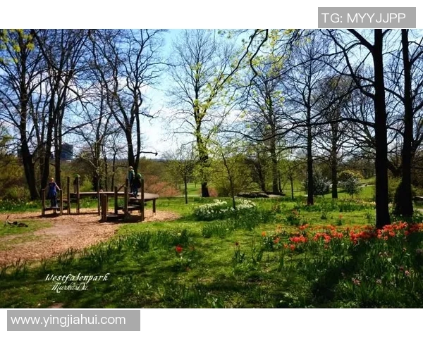 艾森与多特蒙德激战成平局赛果揭晓双方表现精彩引发热议