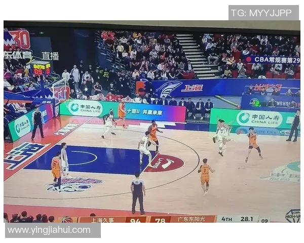 上海排球队实力引发热议球迷对球队表现和战术的不同看法