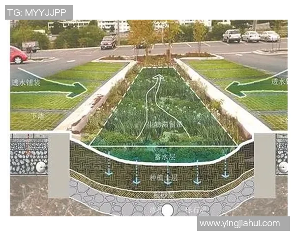 成都与杭州极限运动队赛后复盘分析灵活性表现及其影响MBA 成都与杭州极限运动队赛后复盘分析灵活性表现及其影响MBA