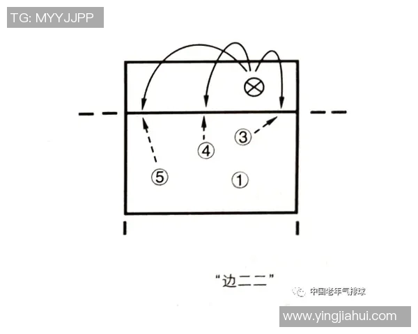 深圳排球队反击策略分析与战术得失评估