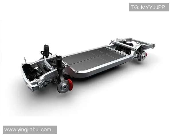 滑板新手必看：从零基础到技术入门的全面攻略与技巧分享