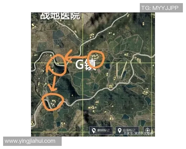 和平精英战术解析：深入探讨JDG团队的转型与策略演变